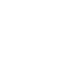 Small Owl SWFC Logo white on clear background
