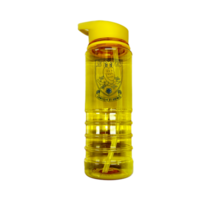 750ml SWFC Lottie Bottle Yellow