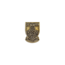 Antique Gold Crest Keyring & Pin Badge Set