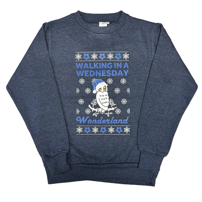 Junior Owls Xmas Jumper