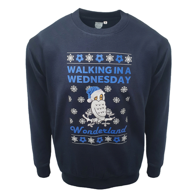 Adult Owls Xmas Jumper