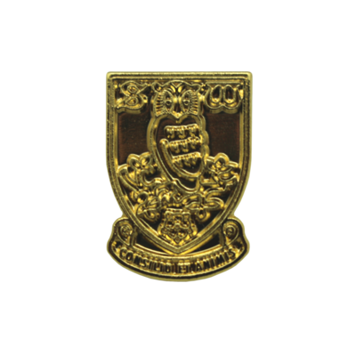 Gold Plated Crest Pin Badge
