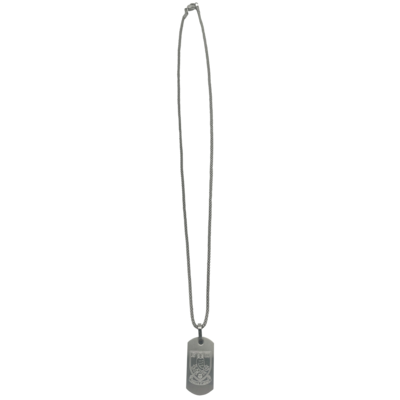 Stainless Steel Oblong Pendant and Chain